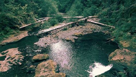 Bagby Hot Springs (Estacada) - 2021 All You Need to Know BEFORE You Go (with Photos) - Tripadvisor