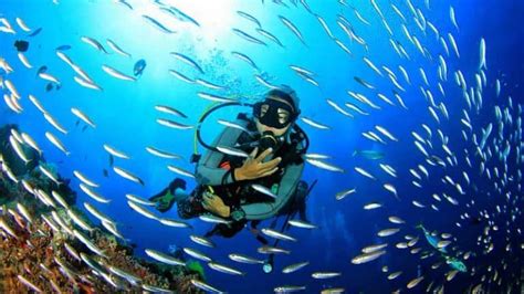 9 Best Places for Scuba Diving in Goa - Honeymoon Bug