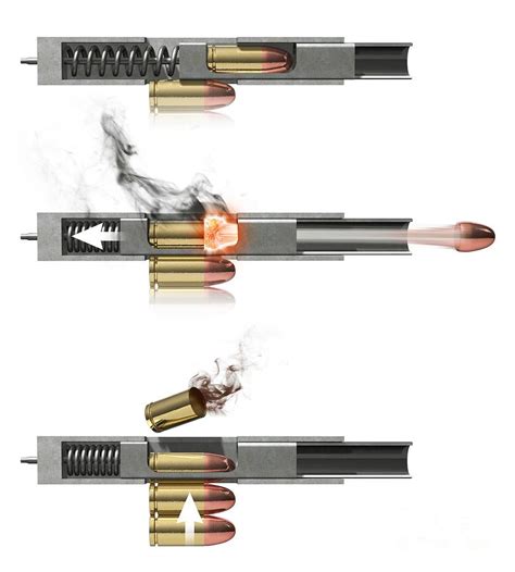 Pistol Firing Mechanism, Artwork Photograph by Claus Lunau