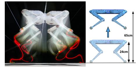 Researchers publish open-source, lower cost design for 3D printed robot dog - 3D Printing Industry