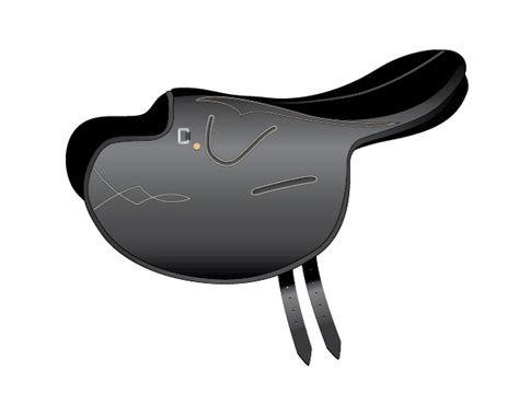 Identify Horse Saddle Types Play the Name the Saddle Parts Game