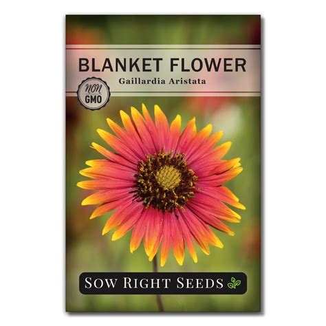 Blanket Flower Seeds to Plant | Native Butterfly & Bee Magnet – Sow ...