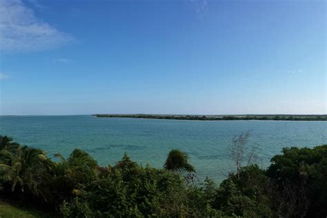 GIS student explores the complexity of coral reef conservation while in Belize | Education ...