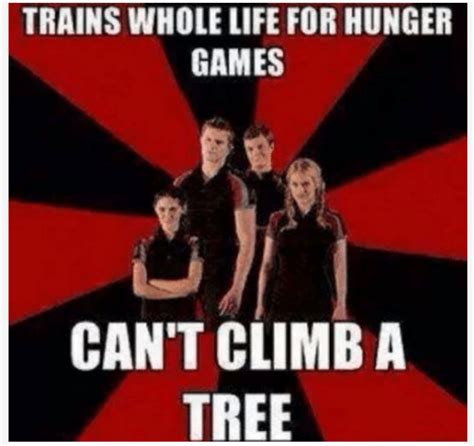 Hilarious Memes From The Hunger Games Film Series