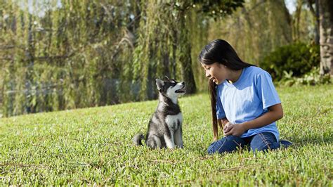 Analyze This: Puppies naturally mimic human actions