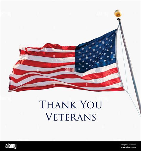 Thank You Veterans holiday banner with American Flag Stock Vector Image & Art - Alamy