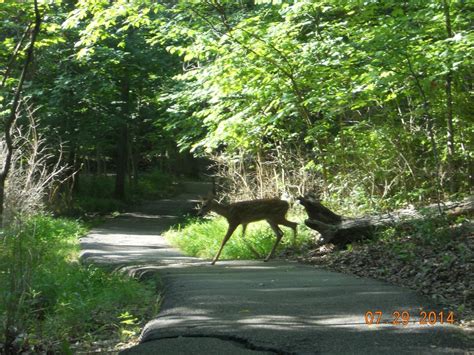 Powder Valley Conservation Nature Center - All You Need to Know BEFORE You Go (2024)