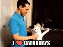 Happy Caturday GIFs | Tenor