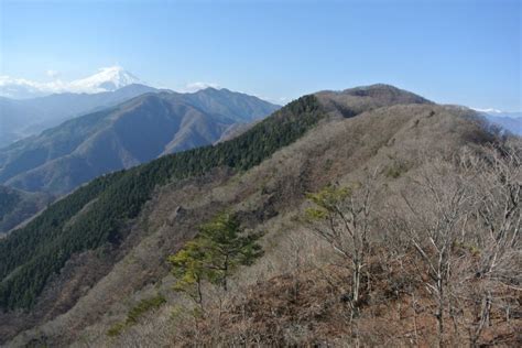 朝日山 | 山の最新情報、登山情報 - ヤマレコ