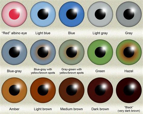 Human eye color (iris color) chart by KDC-71 on DeviantArt | Colores ...