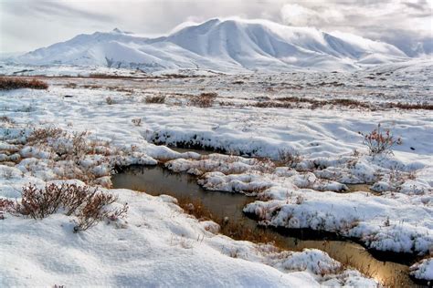 Arctic National Wildlife Refuge