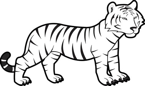 Animals Black and White Outline Clipart - baby-bengal-tiger-black-white ...