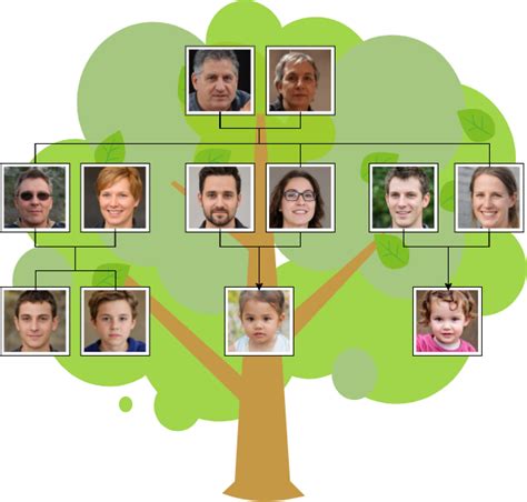 What is a Family Tree Diagram?