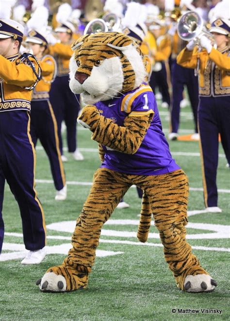 910 best images about LSU on Pinterest | Saturday night, Baton rouge ...