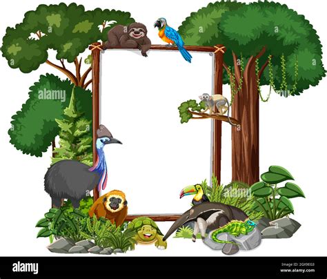 Rainforest Adventure Clipart