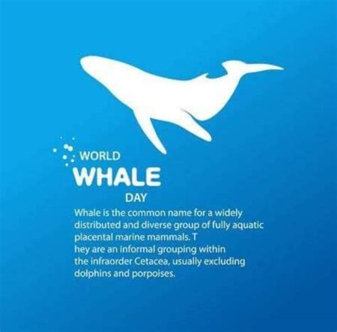 Happy International Whale Day 2020! | Azores Whale Watching TERRA AZUL™