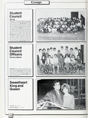 Austin High School - Comet Yearbook (Austin, TX), Class of 1985, Page ...