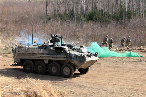 M1126 Stryker | Strategic Bureau of Information