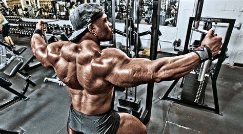 Rear-Delt Machine Video - Watch Proper Form, Get Tips & More | Muscle ...