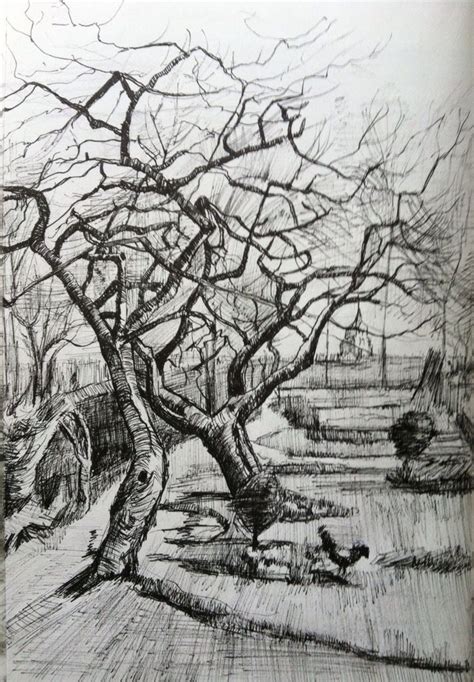 Vincent Van Gogh Tree Drawings Drawing Academy Drawin - vrogue.co
