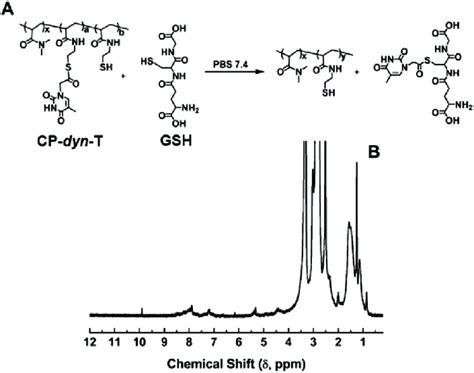 (A) Illustration of thiol–thioester exchange reaction of CP-dyn-T and ...