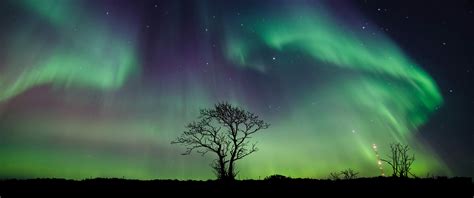 Aurora Borealis Wallpaper 4K, 5K, Northern Lights, Night