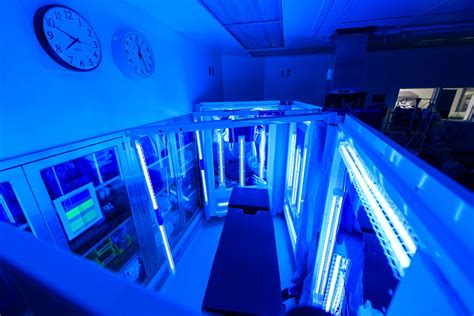 Ultraviolet disinfection effective in eliminating pathogens in hospitals