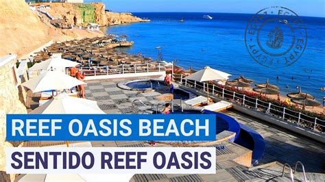 Полный обзор отелей Reef Oasis Beach Resort 5* и Sentido Reef Oasis Senses 5* | Шарм-эль-Шейх ...