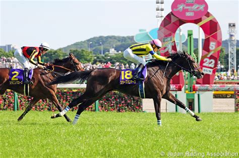 HorseRacingInJapan (@HorseRacing_JPN) / Twitter