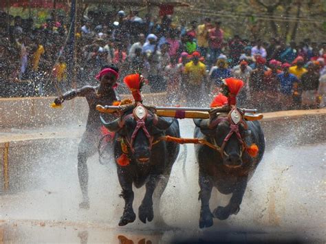 Festivals of Karnataka You Must Experience to Understand Its Culture