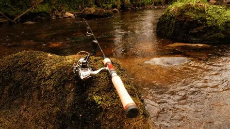 10 Best Trout Rods For 2024 | A Fellow Fisherman