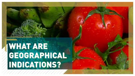 What are geographical indications? - YouTube