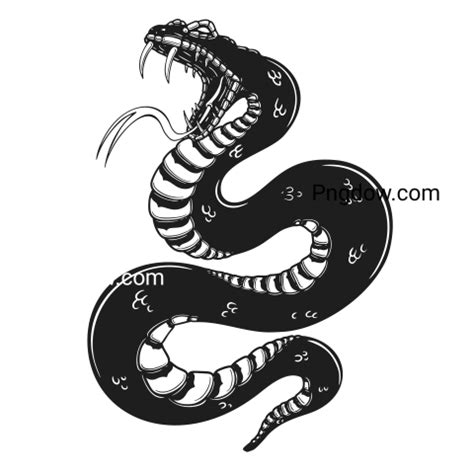 Anaconda Png Transparent For Free Download, (9) - Photo #2404 - Pngdow ...