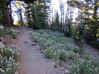 Mt Rose trail hike | Mitch Barrie | Flickr