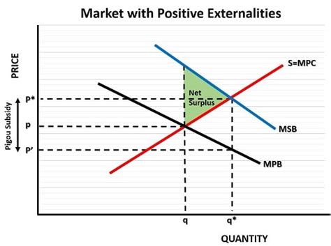 Pigouvian Subsidy (Definition & Examples)