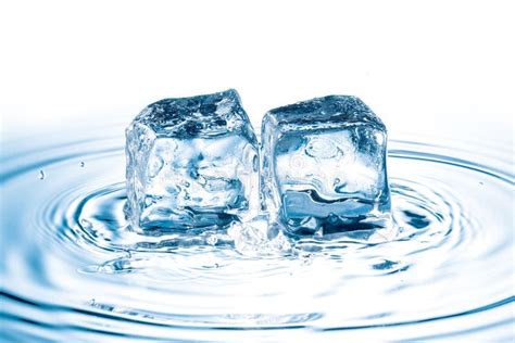 Ice cubes in water stock photo. Image of glass, object - 33662260