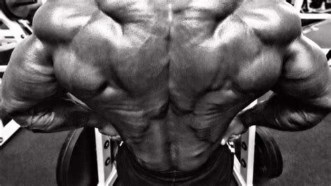 3 Essential Exercises For A Stronger Lower Back SpotMeBro.com