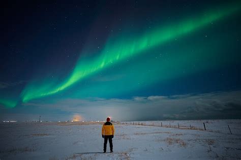 Iceland Northern Lights Night Small-Group Tour From Reykjavik 2023 - Viator