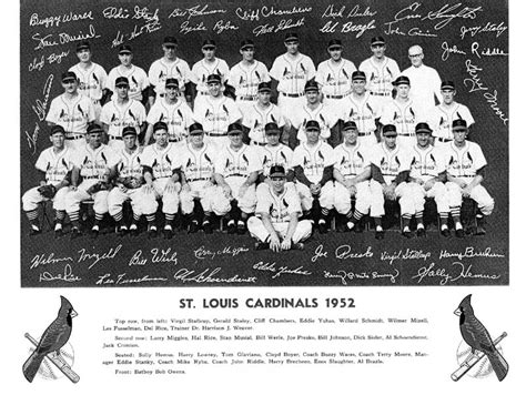 TheDeadballEra.com :: 1952 St. LOUIS CARDINALS TEAM PHOTO