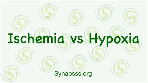 Hypoxia vs Ischemia, differences, definitions - YouTube