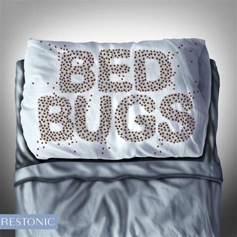 To Serve and Protect: Why a Mattress Protector is the One Accessory for ...