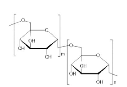 Chemical structure of chitosan. | Download Scientific Diagram