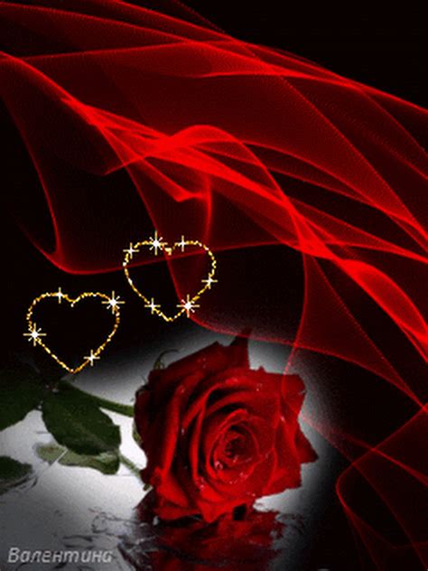 Sign in | Beautiful red roses, Red roses, Happy valentines day pictures