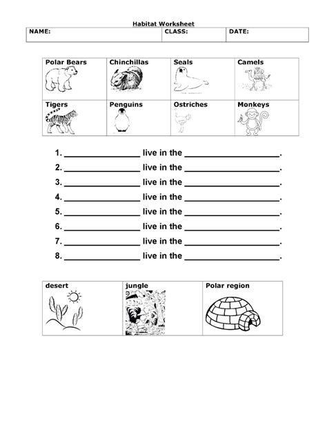 Worksheets For Grade 1 : Animal Habitat | Science worksheets, Kindergarten worksheets sight ...