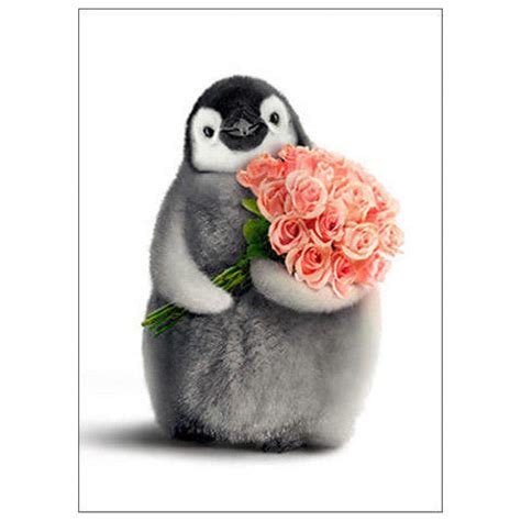 Happy Valentine's Day Penguin Card – Penguin Gift Shop