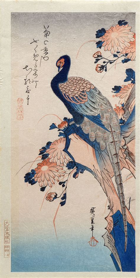 Mokuhankan Collection : Peacock