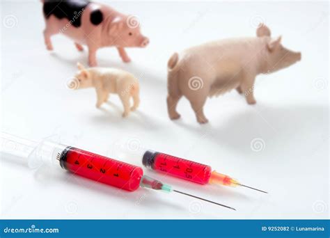 Swine Flu a H1N1 Vaccine Metaphor Stock Photo - Image of healthcare, genome: 9252082