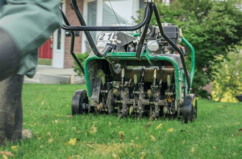 When To Scarify Your Lawn (And When NOT To) For The Best Results ...