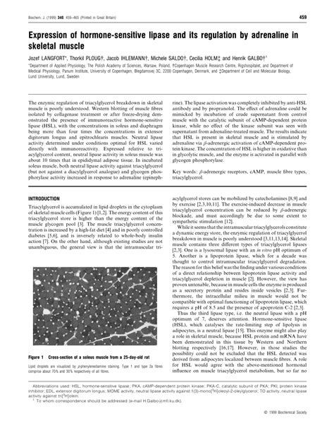 (PDF) Expression of hormone-sensitive lipase and its regulation by adrenaline in skeletal muscle