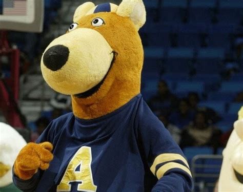 Where's Zippy? University of Akron mascot costumes reported missing ...